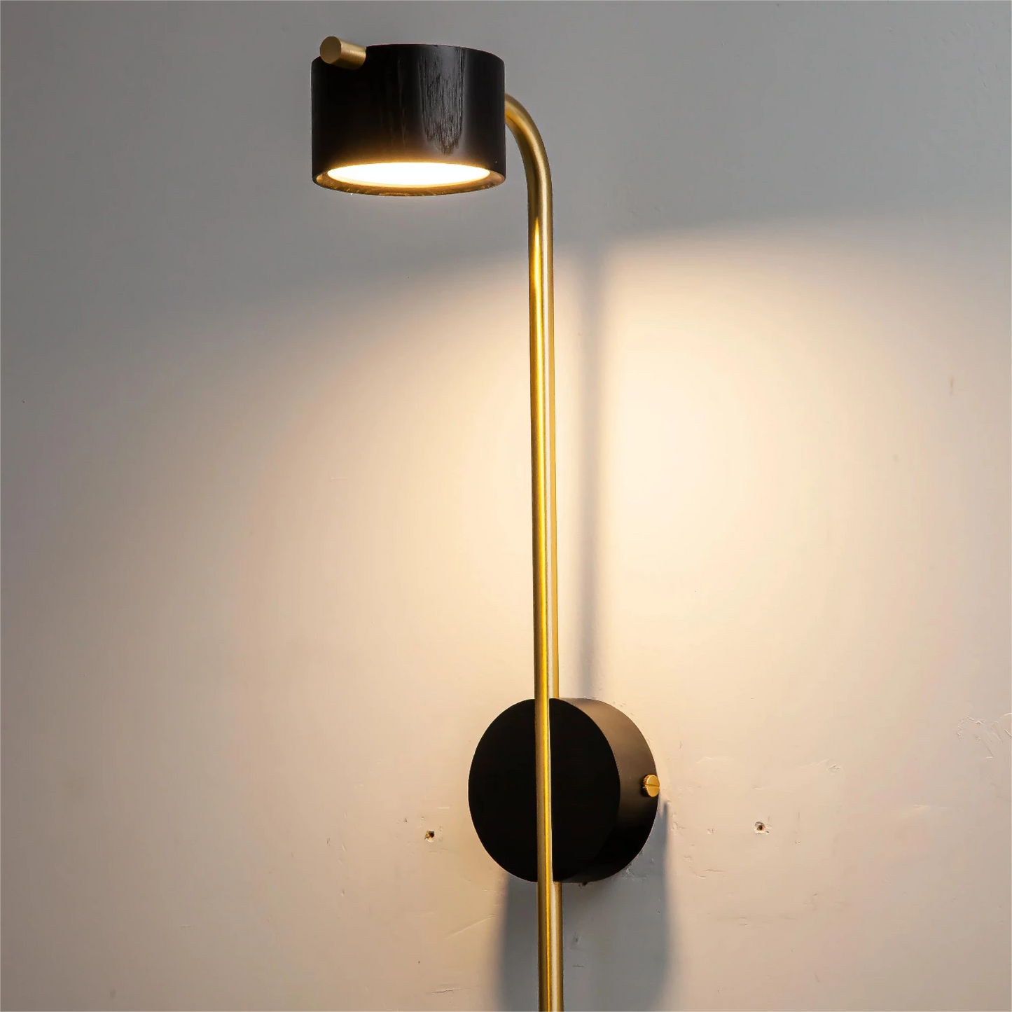 Cylindrical Wood Wall Light with Brass Curve