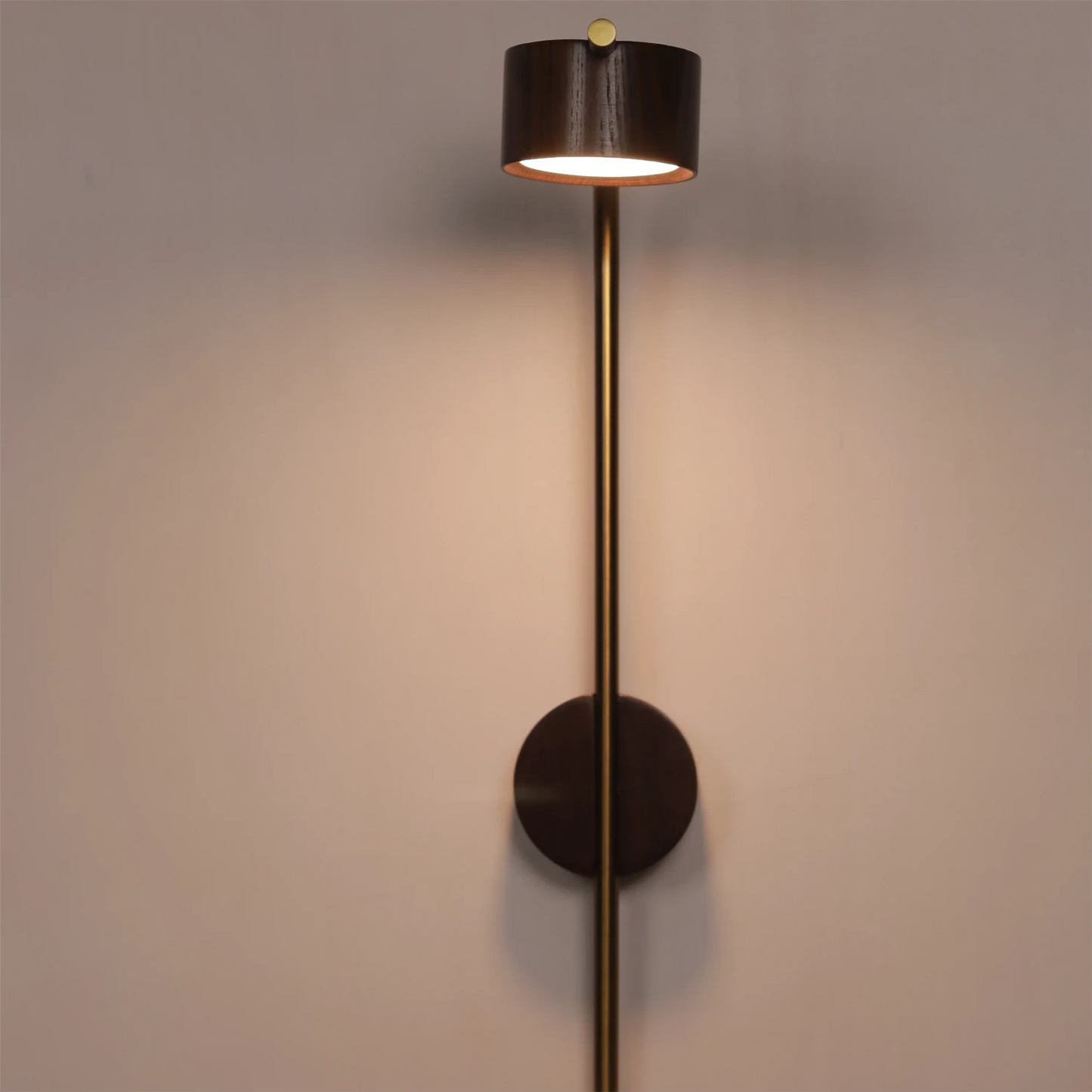 Cylindrical Wood Wall Light with Brass Curve